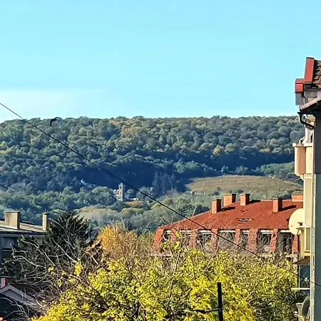 Centar Ii נגוטין